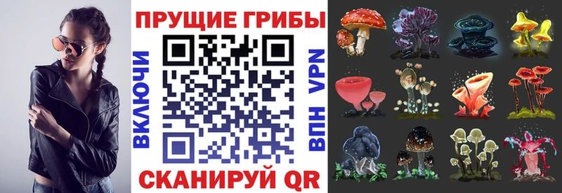 цена   Удачный  Галлюциногенные грибы мицелий 